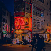 黄色いバラが咲く美しい庭園の小道の写真