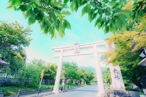 春の緑地に咲くムスカリの青紫色の花穂と黄色い光のボケ