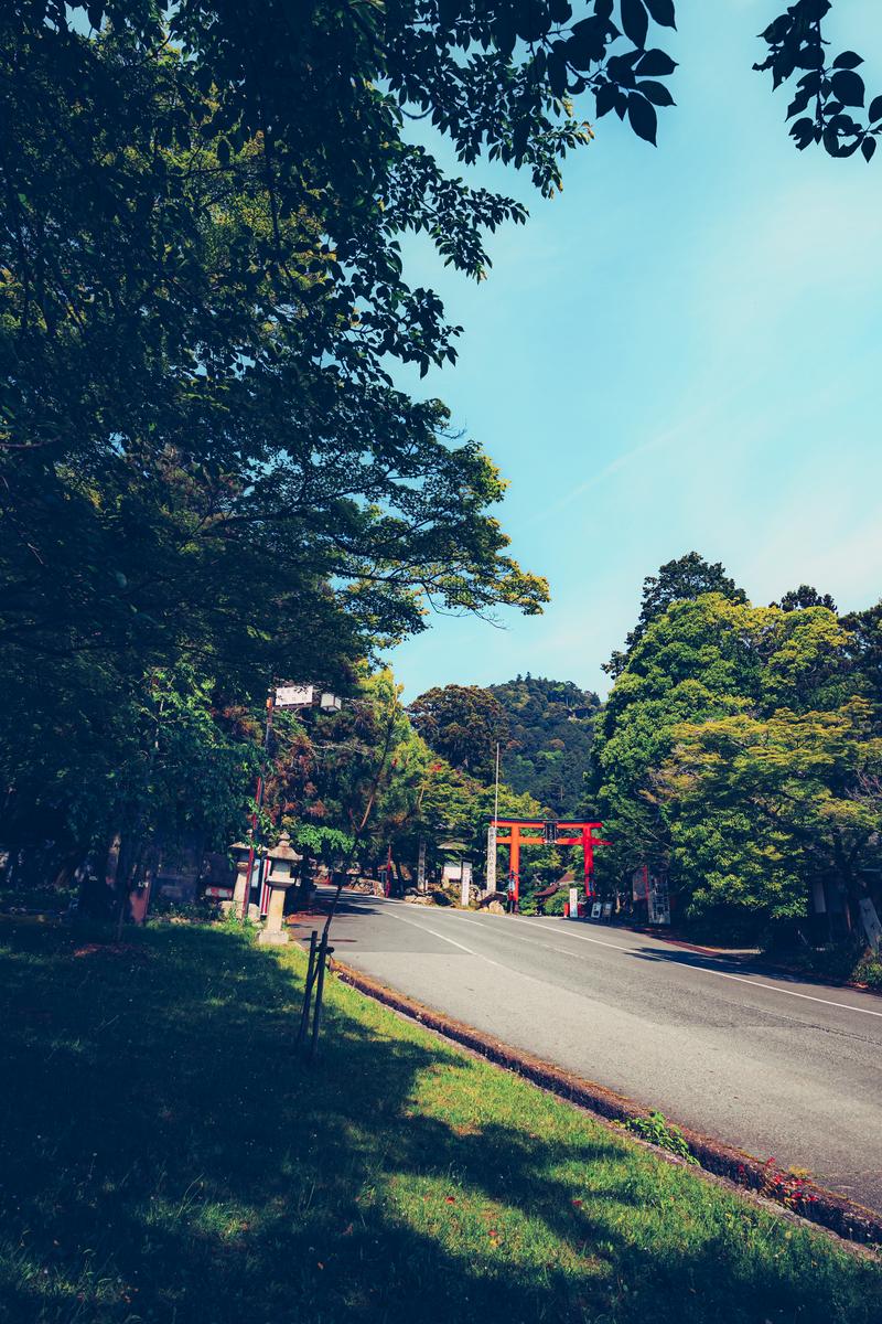 紫のキャリーケースに座る子どもとグレーのワンピースの女性が公園で笑顔で立っている