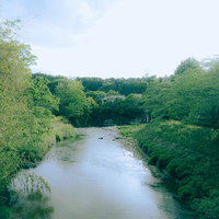 新緑の川沿い風景と両岸の緑の写真