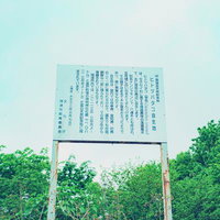 緑に囲まれた瑞浪市ヒトツバタゴの説明看板の写真