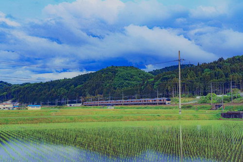 初夏の水田地帯を走る赤色車両の鉄道と山並み