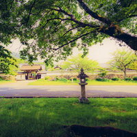 石灯籠と門の写真