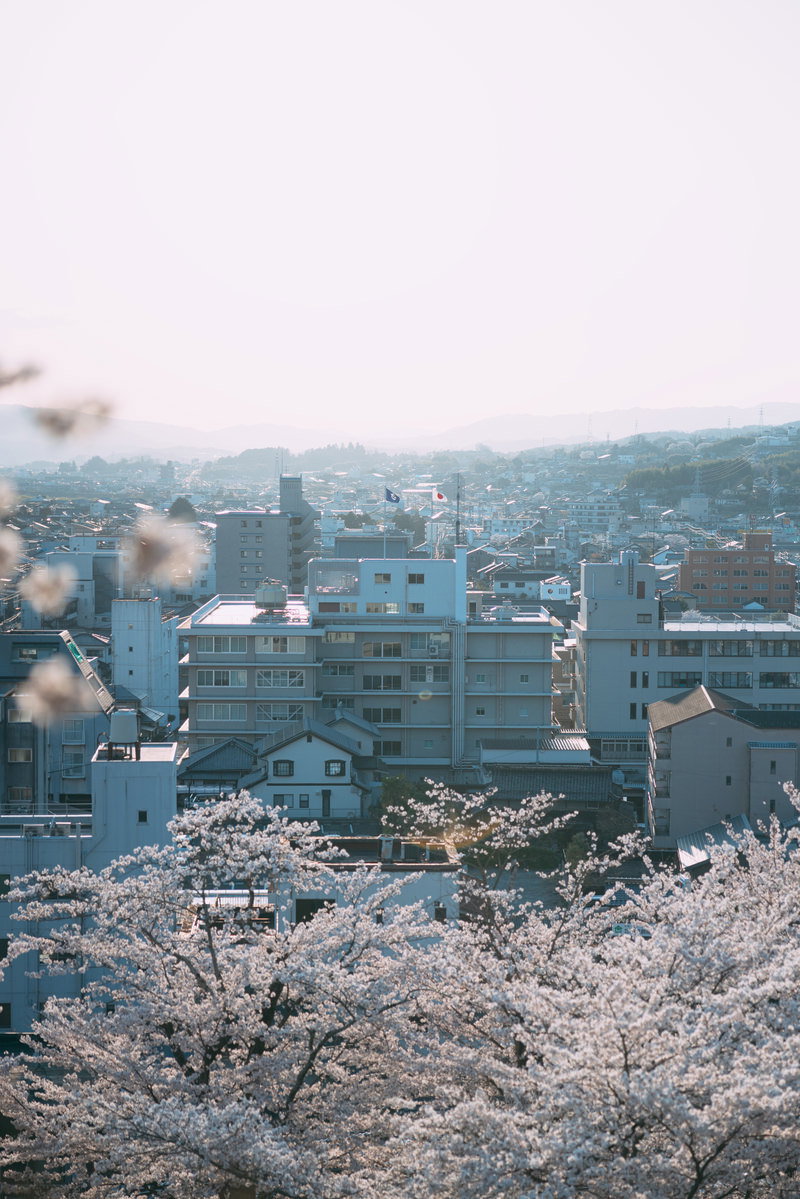 津山城からの眺望で、手前に桜が咲き、奥に市街地が広がる風景