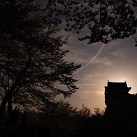 夕暮れ時の津山城跡備中櫓と満開の桜のシルエットの写真