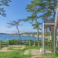 尋坊芝生広場の端にある公衆電話と遠くに見える雄島の写真