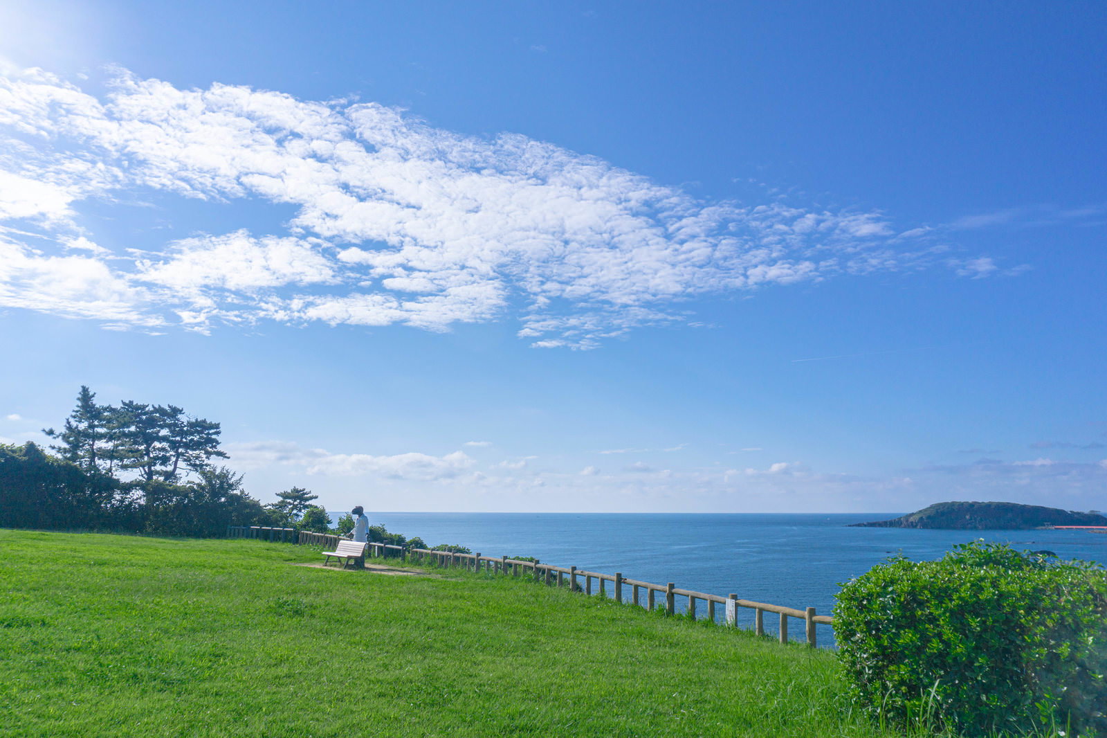 青空の下、緑の芝生広場に設置された恐竜の形をしたベンチと東尋坊の海岸線