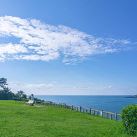 芝生広場の端から恐竜博士ベンチを見るの写真