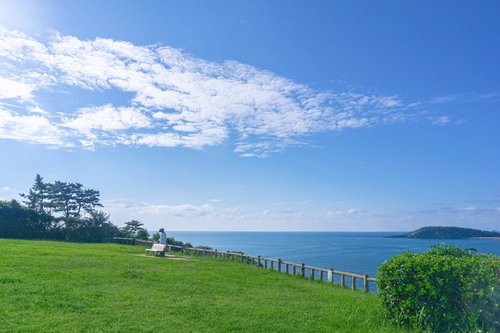 芝生広場の端から恐竜博士ベンチを見る