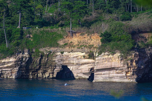 東尋坊北の芝生公園から見える福良の浜の海食洞
