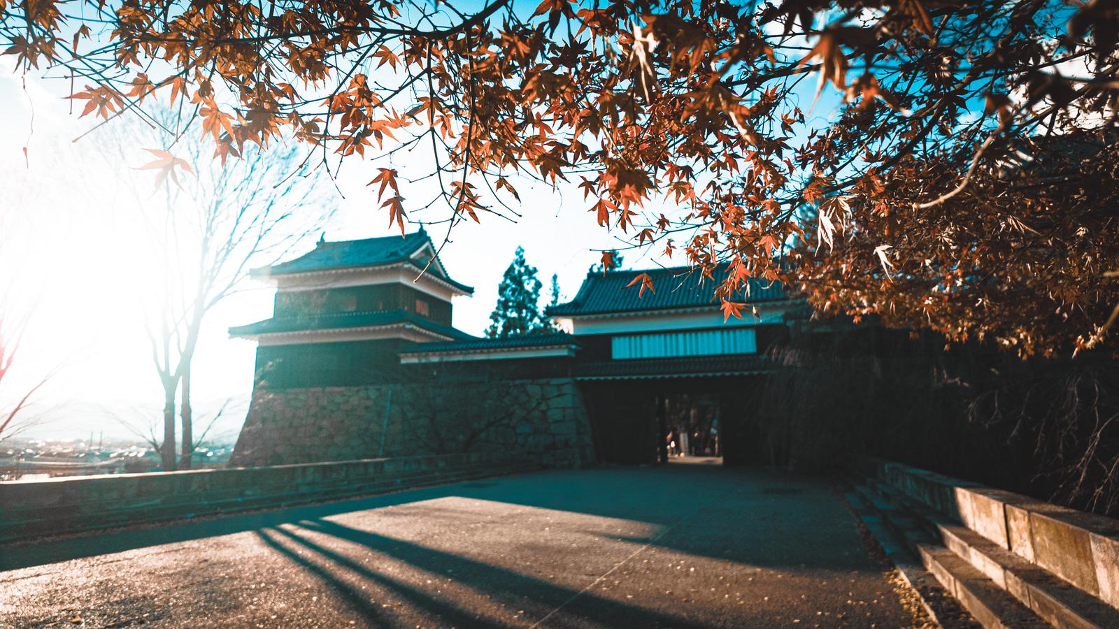 秋の紅葉に彩られた上田城の南櫓と石垣の全景