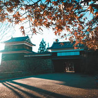 上田城の南櫓を彩る秋の紅葉、石垣と歴史建築が映える長野県の観光地の写真