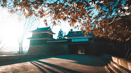 上田城の南櫓を彩る秋の紅葉、石垣と歴史建築が映える長野県の観光地