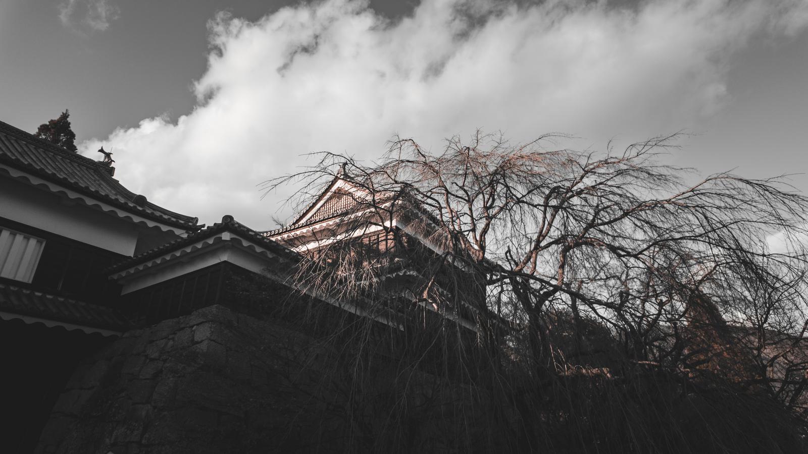 上田城の北櫓と古い木造建築が見える歴史的な城郭風景