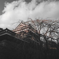 上田城の北櫓と紅葉の風景の写真