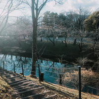 上田城の本丸堀と樹木が冬枯れの季節に見せる歴史的風景の写真