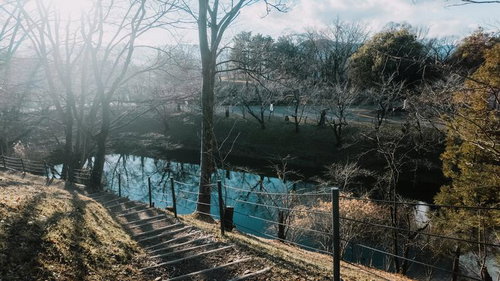 上田城の本丸堀と樹木が冬枯れの季節に見せる歴史的風景