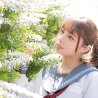 満開のユキヤナギと女子高生の写真