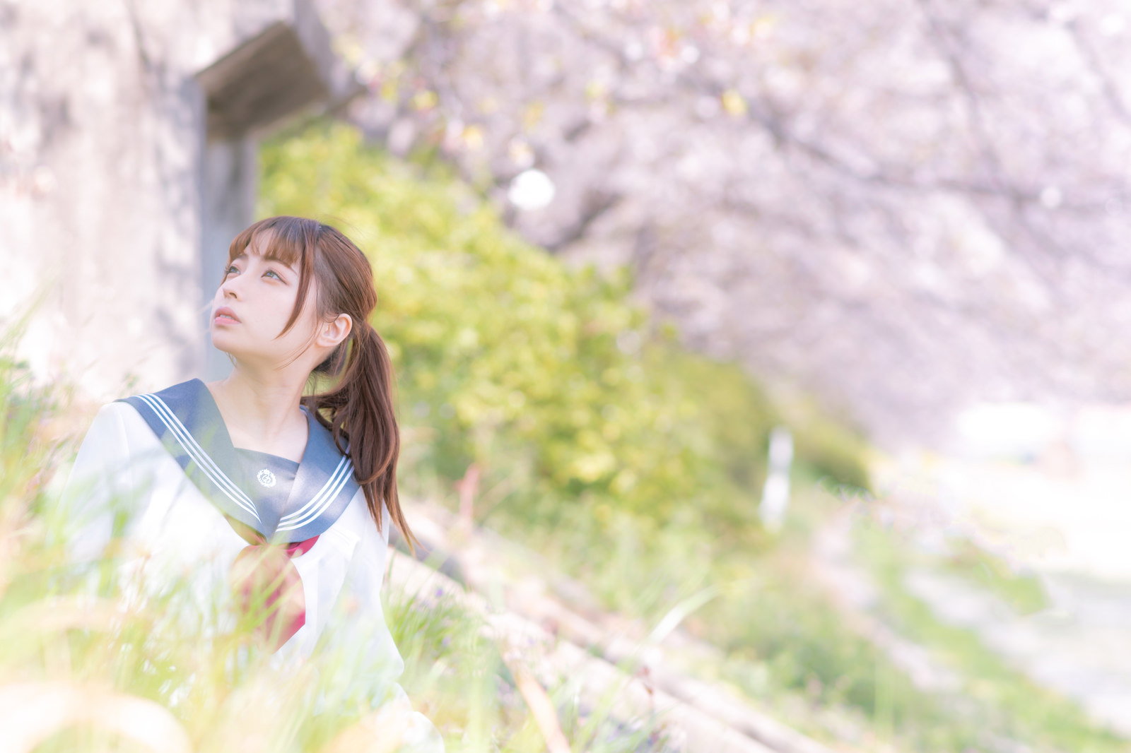 満開の桜の下で空を見上げる制服姿の女子高生［モデル：高尾実生］