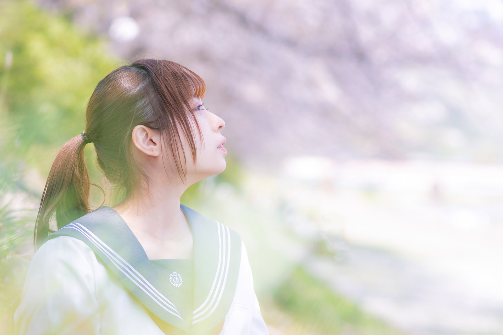満開の桜に包まれながら横を向く制服姿の女子高生［モデル：高尾実生］