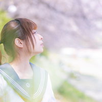 満開の桜に包まれ横を向く女子高生の春景色の写真