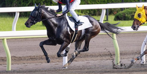ダートを疾走する競走馬と騎手