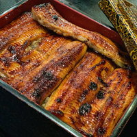 土用の丑の日のうな重と付け合わせ、鰻の蒲焼きご飯の写真