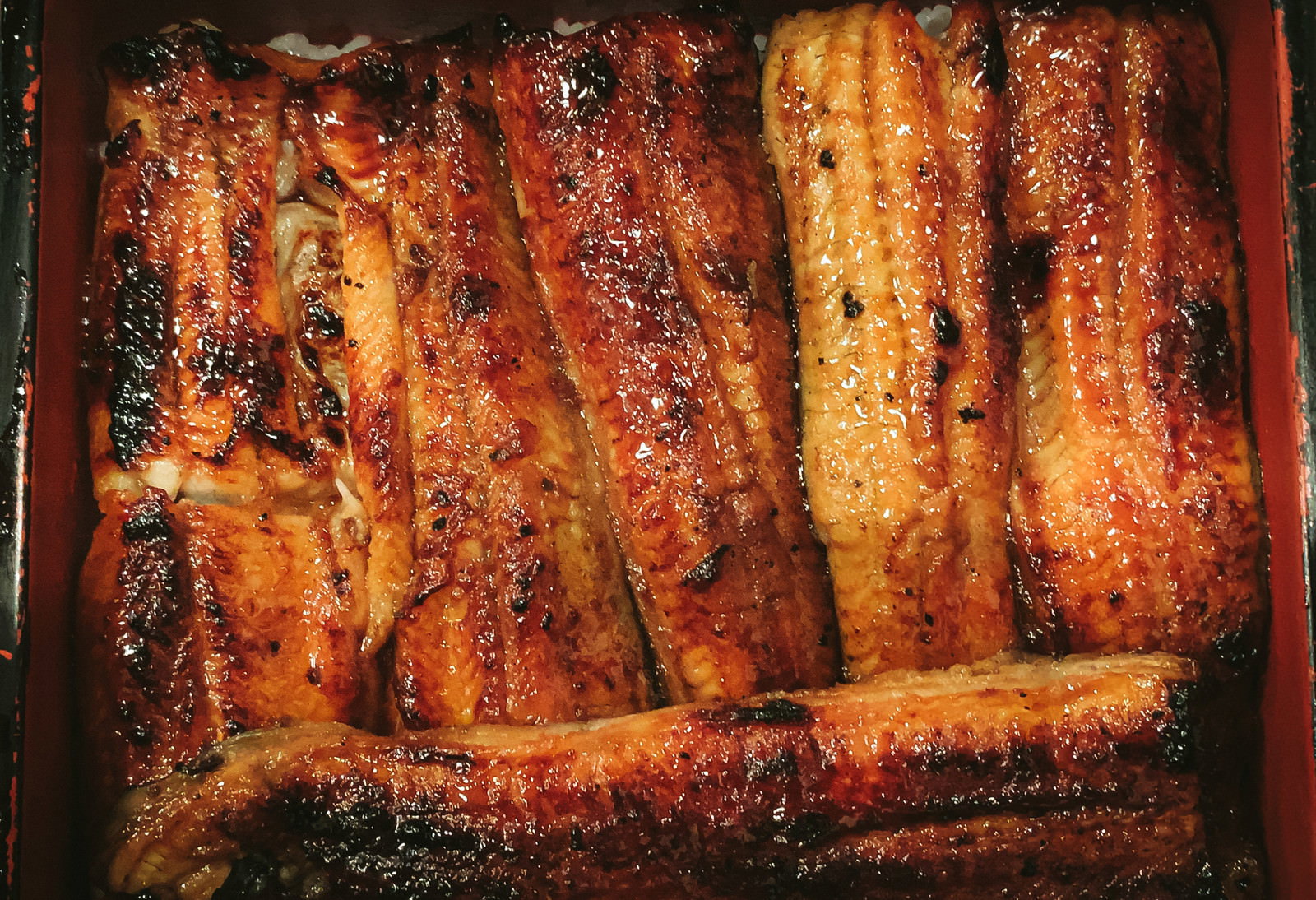 Grilled eel kabayaki in a red lacquer box
