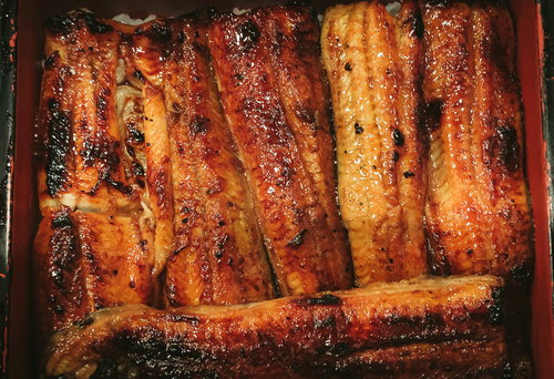 土用の丑の日のうな重 - つやつやとした蒲焼の和食