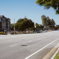 ロサンゼルスの住宅街を通る街路樹のある道路の写真