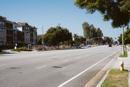 ロサンゼルスの住宅街を通る街路樹のある道路