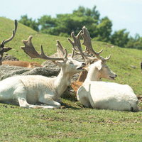 ちょっと皆が見てるわよ、、耳や、やめてよ...の写真