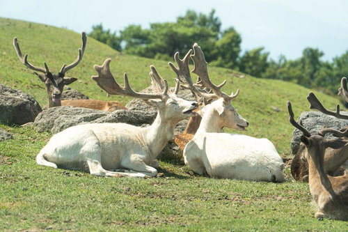 ちょっと皆が見てるわよ、、耳や、やめてよ...