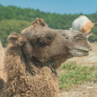 昨日のアレ気持ちよかったですの写真