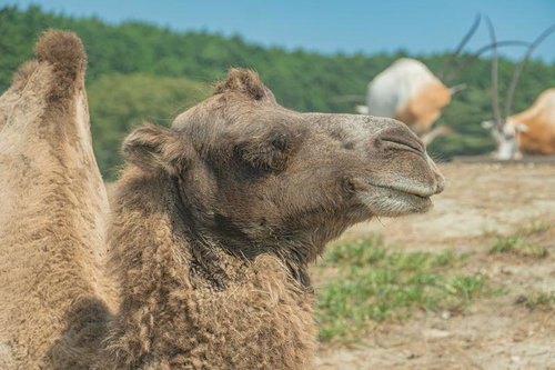 昨日のアレ気持ちよかったです
