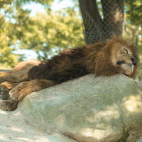 我が子供 崖から落とす サスペンスの写真