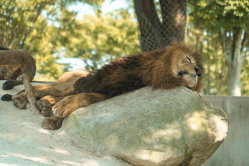我が子供 崖から落とす サスペンス