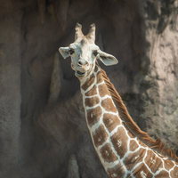 3日連続で朝帰りした時の嫁の写真