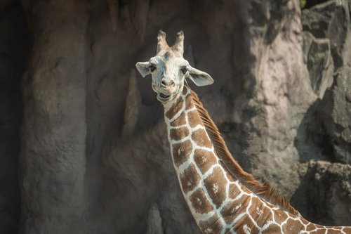 3日連続で朝帰りした時の嫁