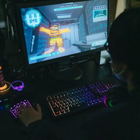 LAN CABLE MANをプレイするプロゲーマーの写真