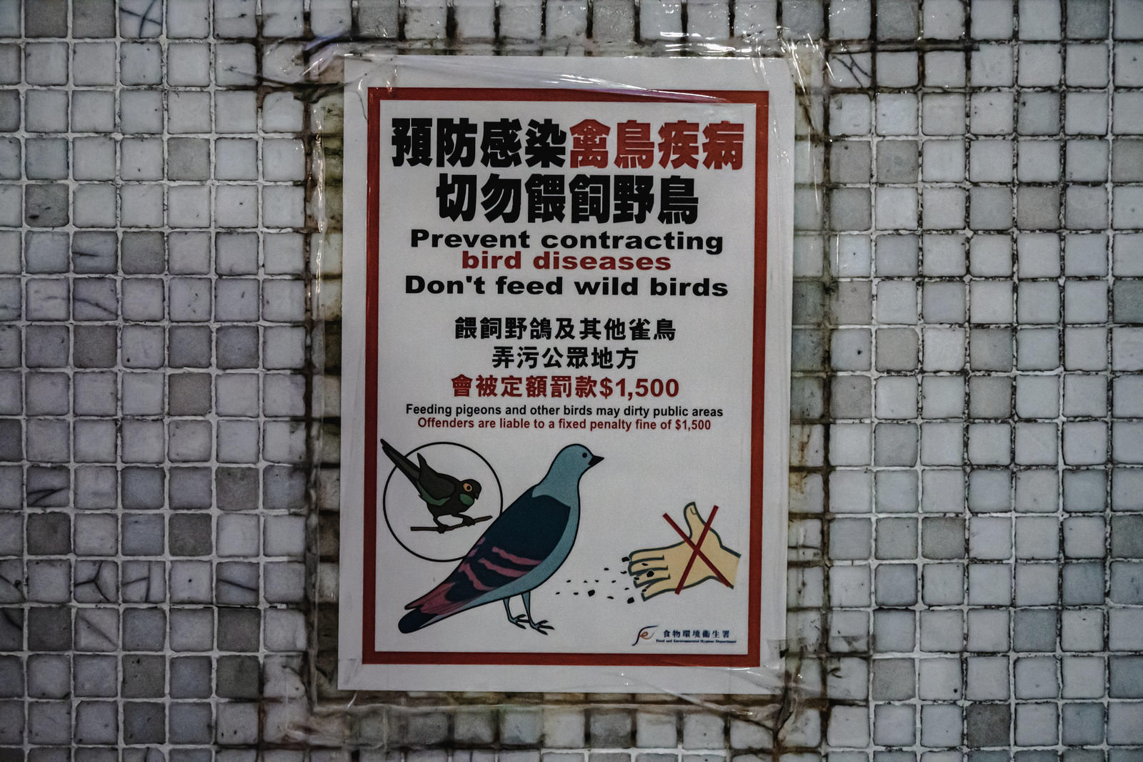 鳩への餌やり禁止を呼びかける香港の注意喚起ポスター