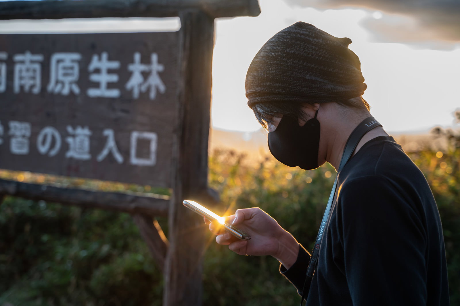 観光地の案内看板前で夕方にスマートフォンでゲームをプレイする男性
