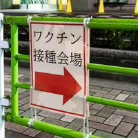 ガードレールに貼られたワクチン接種会場の案内矢印の写真