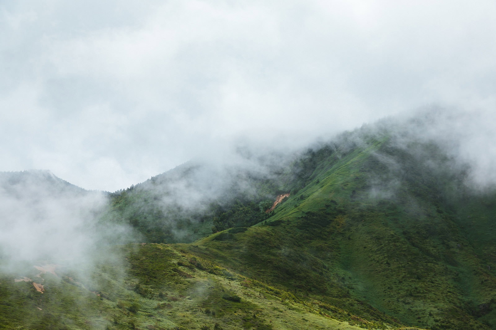 緑の山々に白い靄と雲が立ち込める幻想的な山岳風景