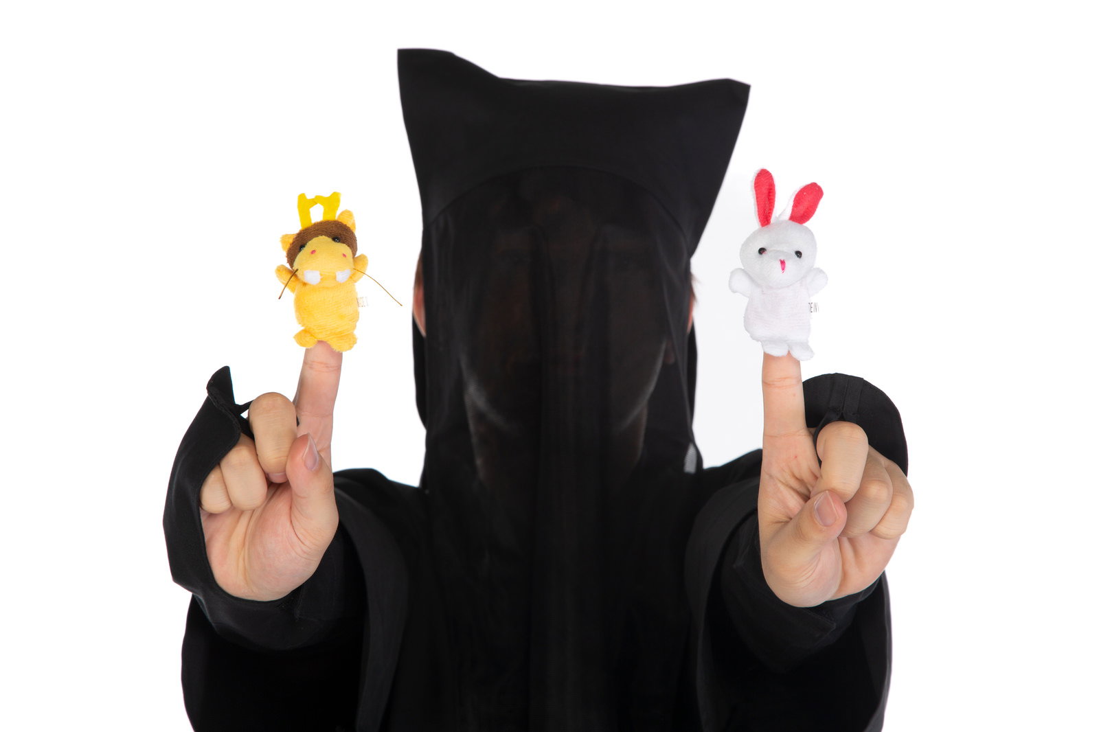 黒い衣装を着た人形遣いが両手に手袋人形をはめてパフォーマンスしている［モデル：鈴木秀］