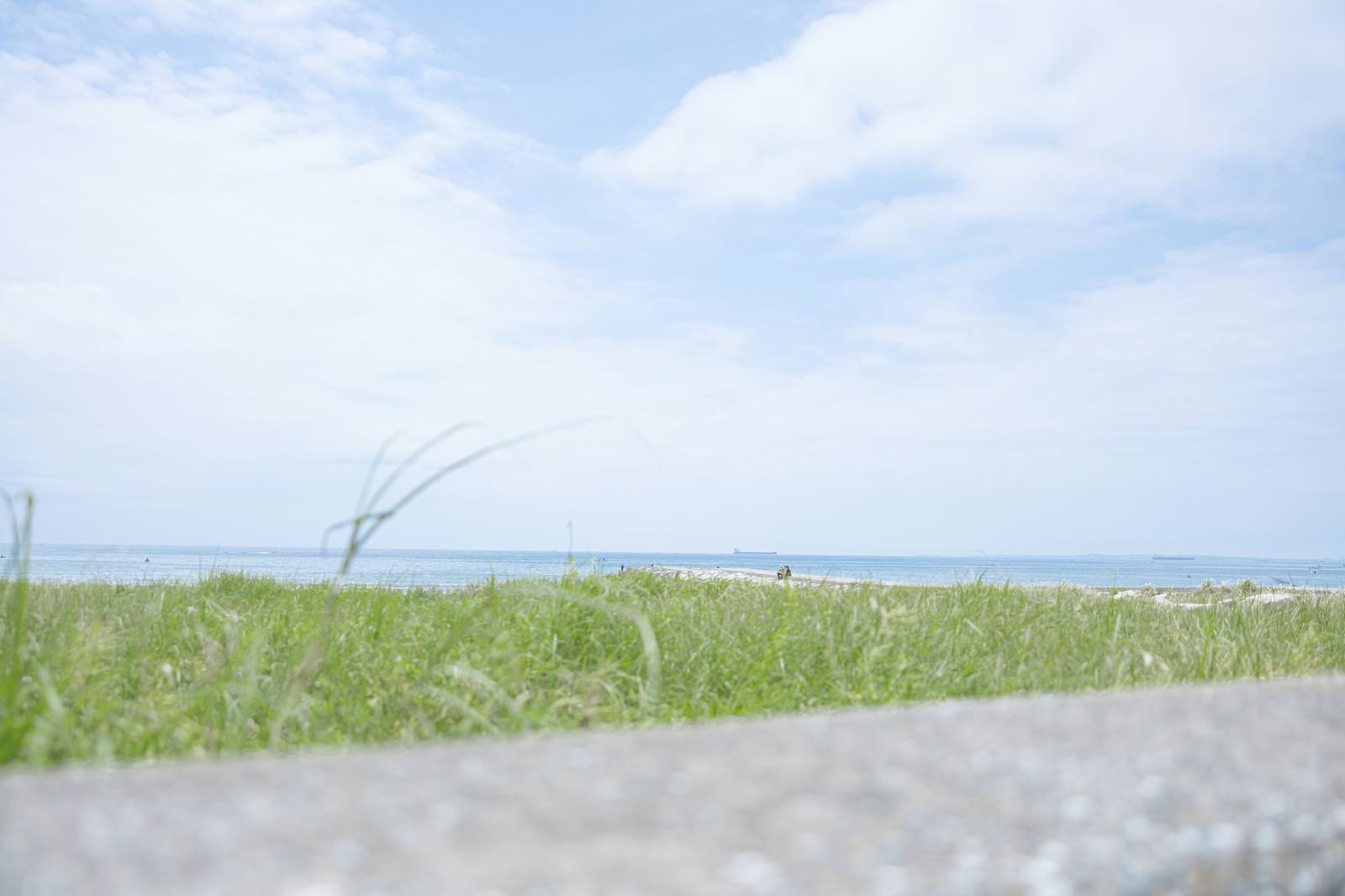 砂浜の草と防波堤越しに見える桟橋と海の風景