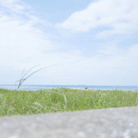 岩井海岸の防波堤越しに見える桟橋と海の風景の写真