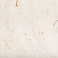 繊維柄の和紙のテクスチャーの写真