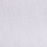 白い繊維が透ける和紙のテクスチャーの写真