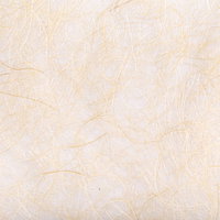 繊細な繊維が浮き出た和紙のテクスチャーの写真